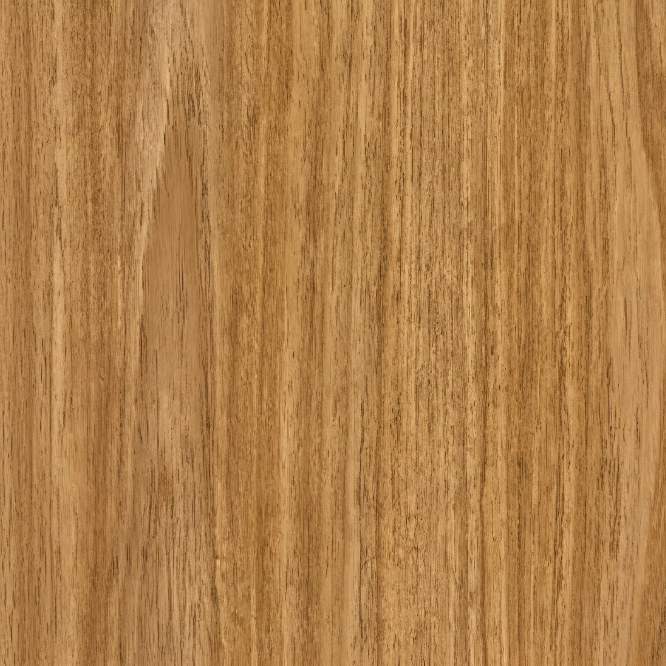 Descrição da imagem 3